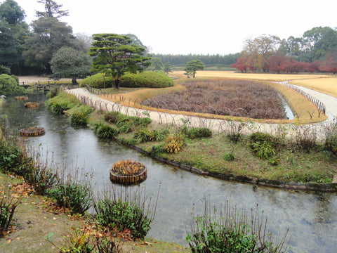 Koraku-en garden in Okayama, one of the Three Great Gardens of Japan