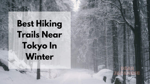 Hiking Near Tokyo In Winter