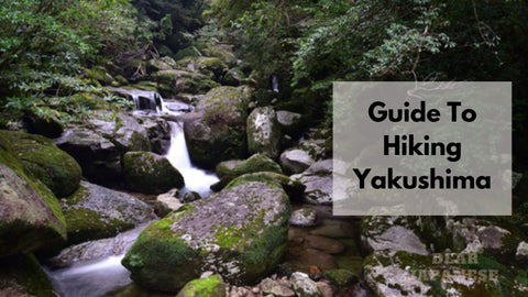 Hiking Yakushima