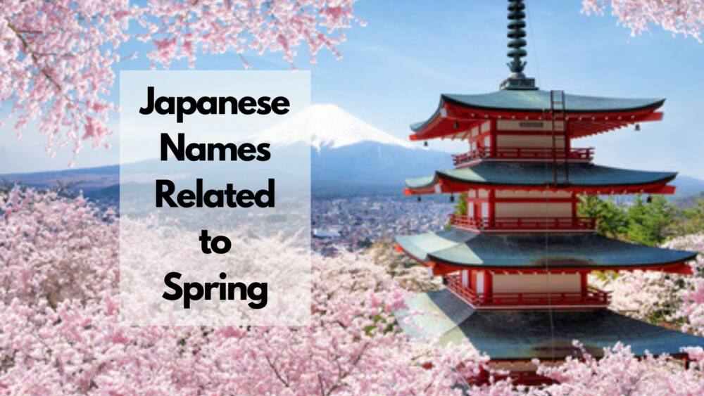 40 Japanese Names Associated With Spring Season – Japan Truly