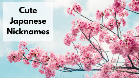 200+ Cute Japanese Nicknames With Meaning |  Japanese Terms Of Endearment