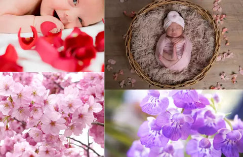 20 Cute Japanese Flower Names for Girl with Meaning