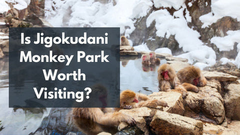 Jigokudani Monkey Park