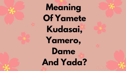 meaning-of-yamete-kudasai