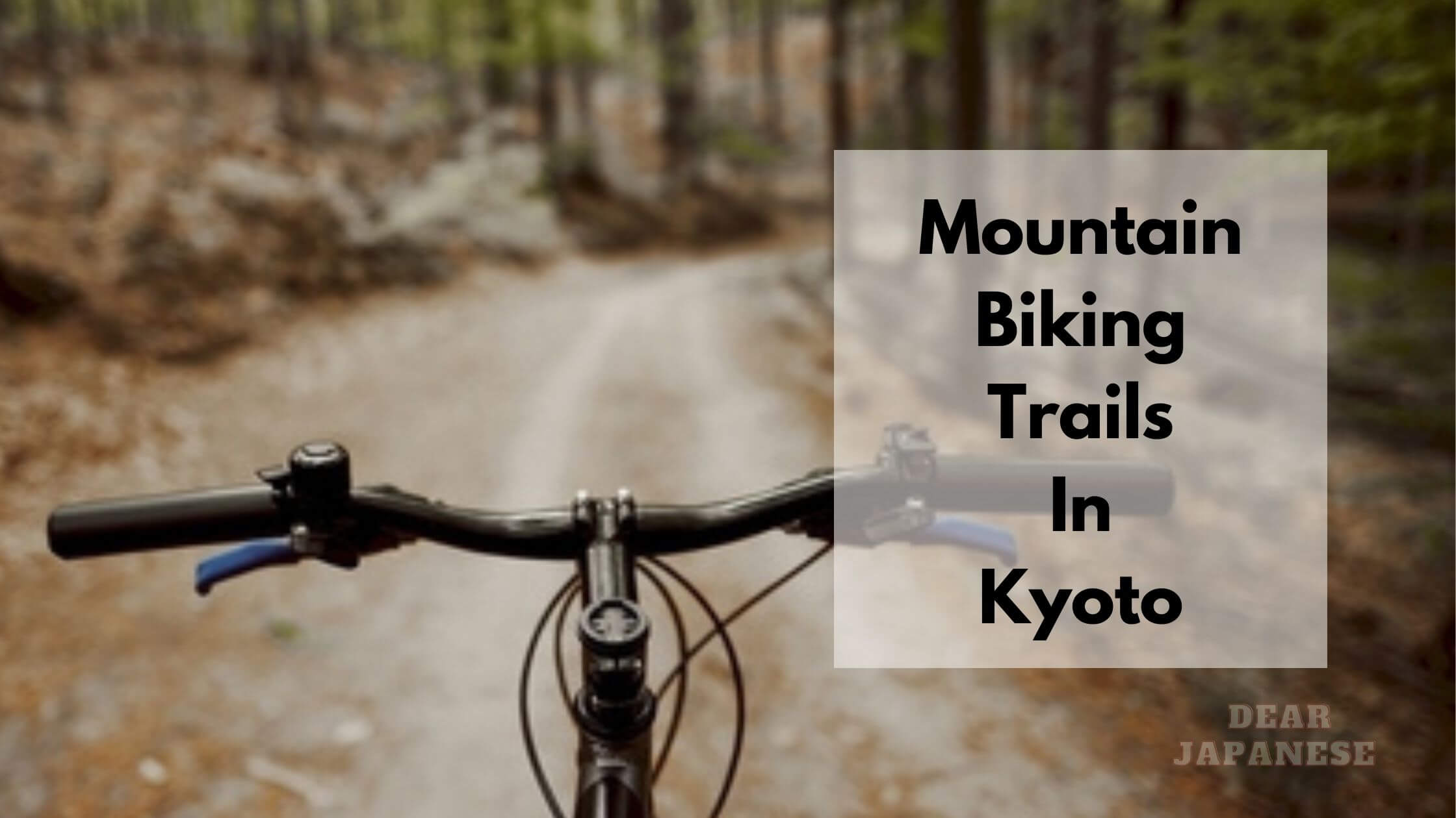 Guide To Mountain Biking Trails In Kyoto | 10 Amazing Kyoto MBT You Ca ...