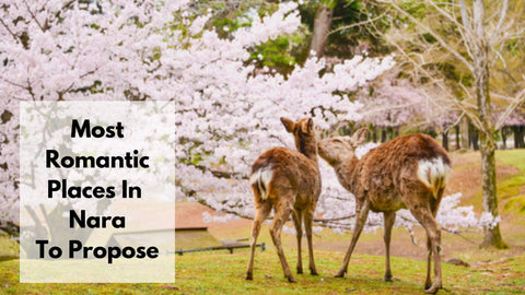 Places To Propose In Nara