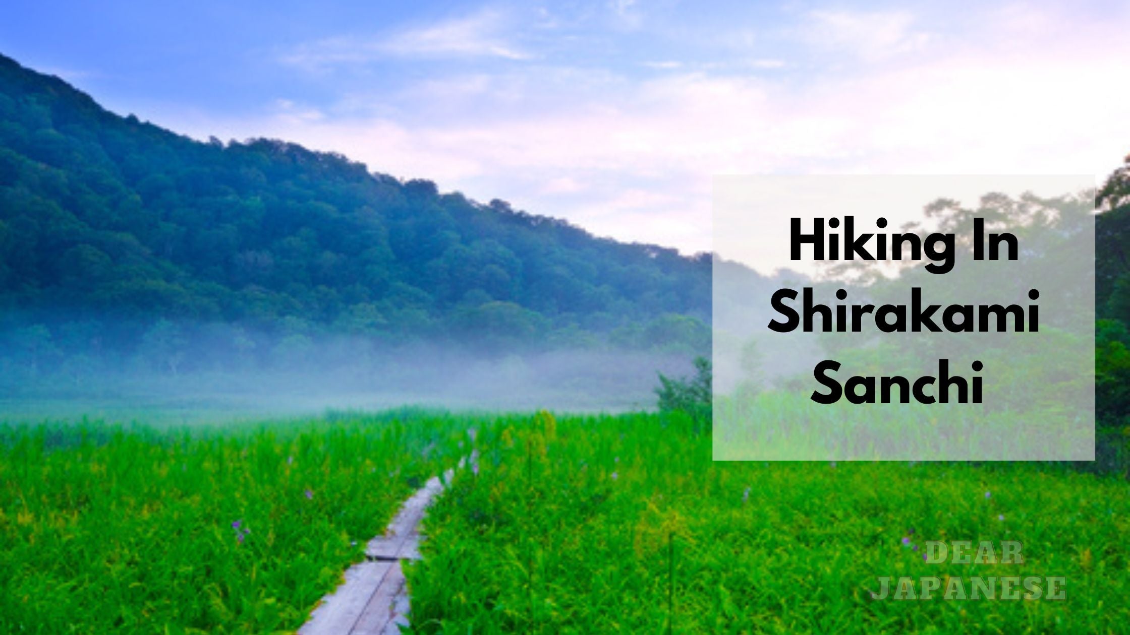 Guide To Shirakami Sanchi Hike | Everything You Need To Know About Hik ...