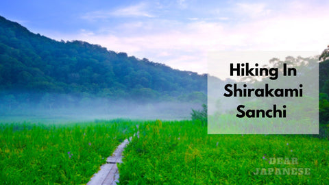 Shirakami Sanchi Hike