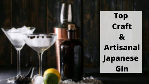 8 Best Japanese Gin | Top Craft And Artisanal Gin Fron Japan To Try