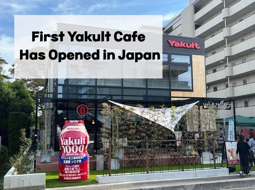 Yakult アパート　9本！！！！ Amazon.com: Yakult Probiotic Health Drink Bottle, 65 ml, Pack of 5