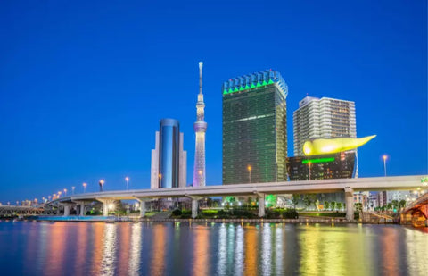 Top 14 Cities To Live In Japan For Expats