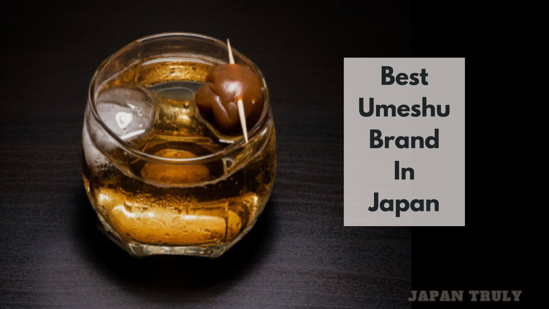 5 Best Umeshu Brands In Japan: A Guide To Premium Plum Wines – Japan Truly