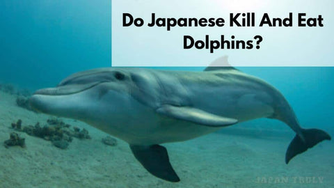 do-the-japanese-kill-and-eat-dolphins