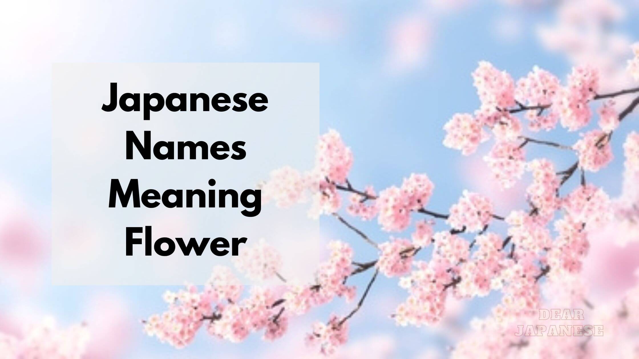 Japanese Male Names Meaning Flower.html