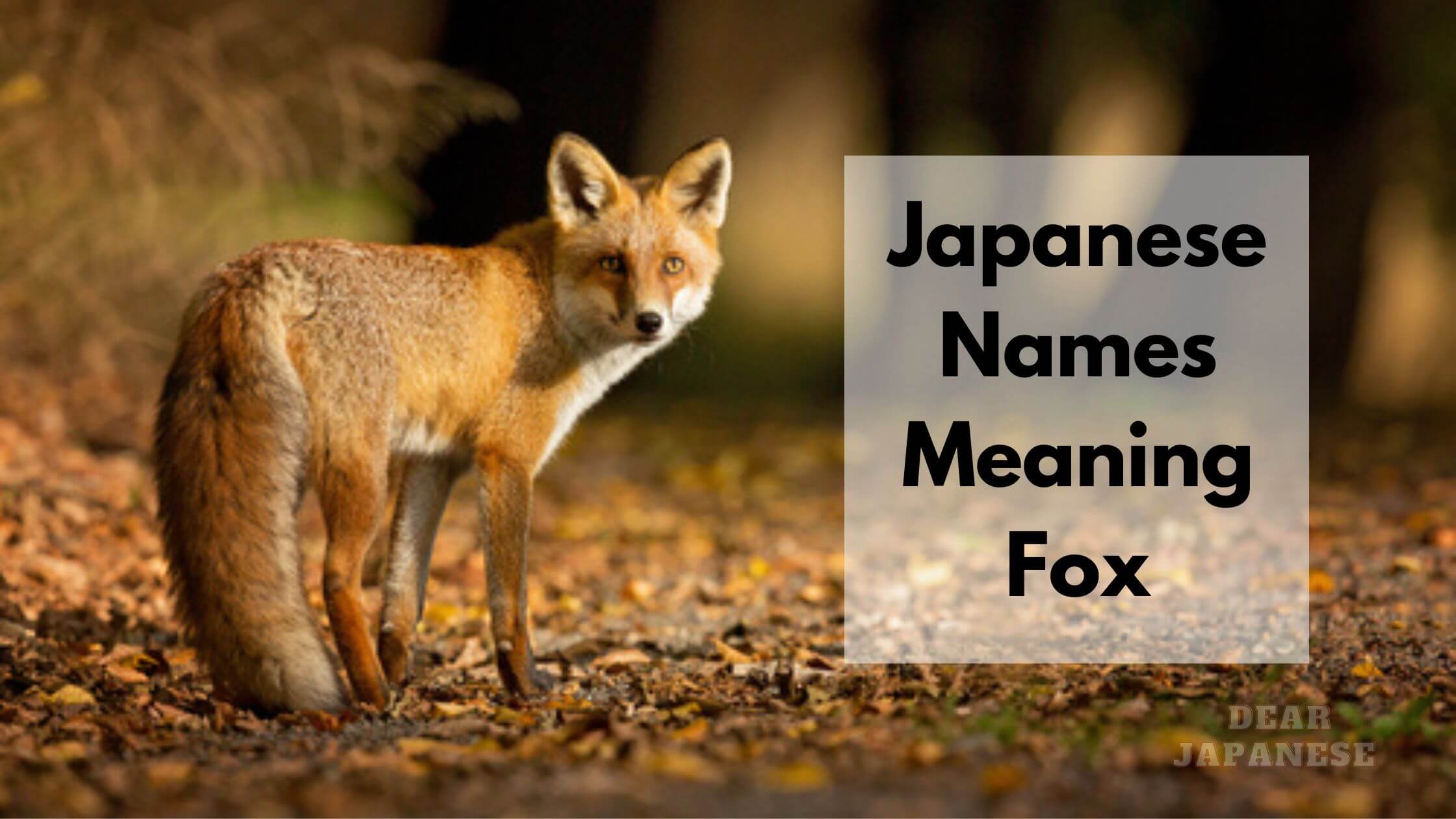 Japanese Boy Names Meaning Fox.html