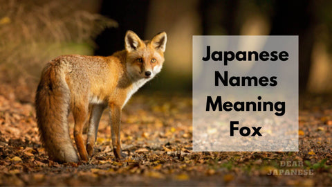japanese names meaning fox
