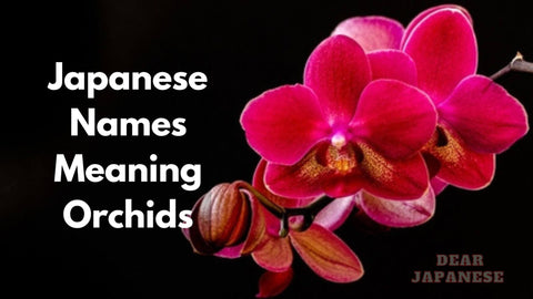 japanese names meaning orchid