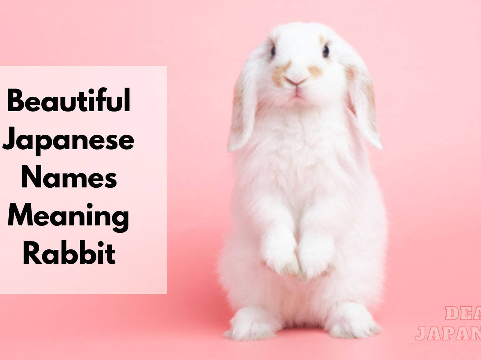 40 Japanese Names Meaning Revenge - Japan Truly