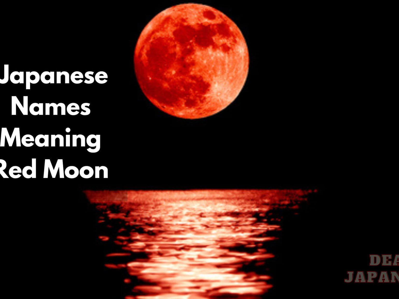 40-japanese-names-meaning-rabbit-japan-truly