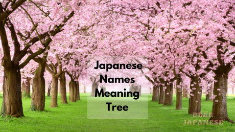 japanese names meaning tree