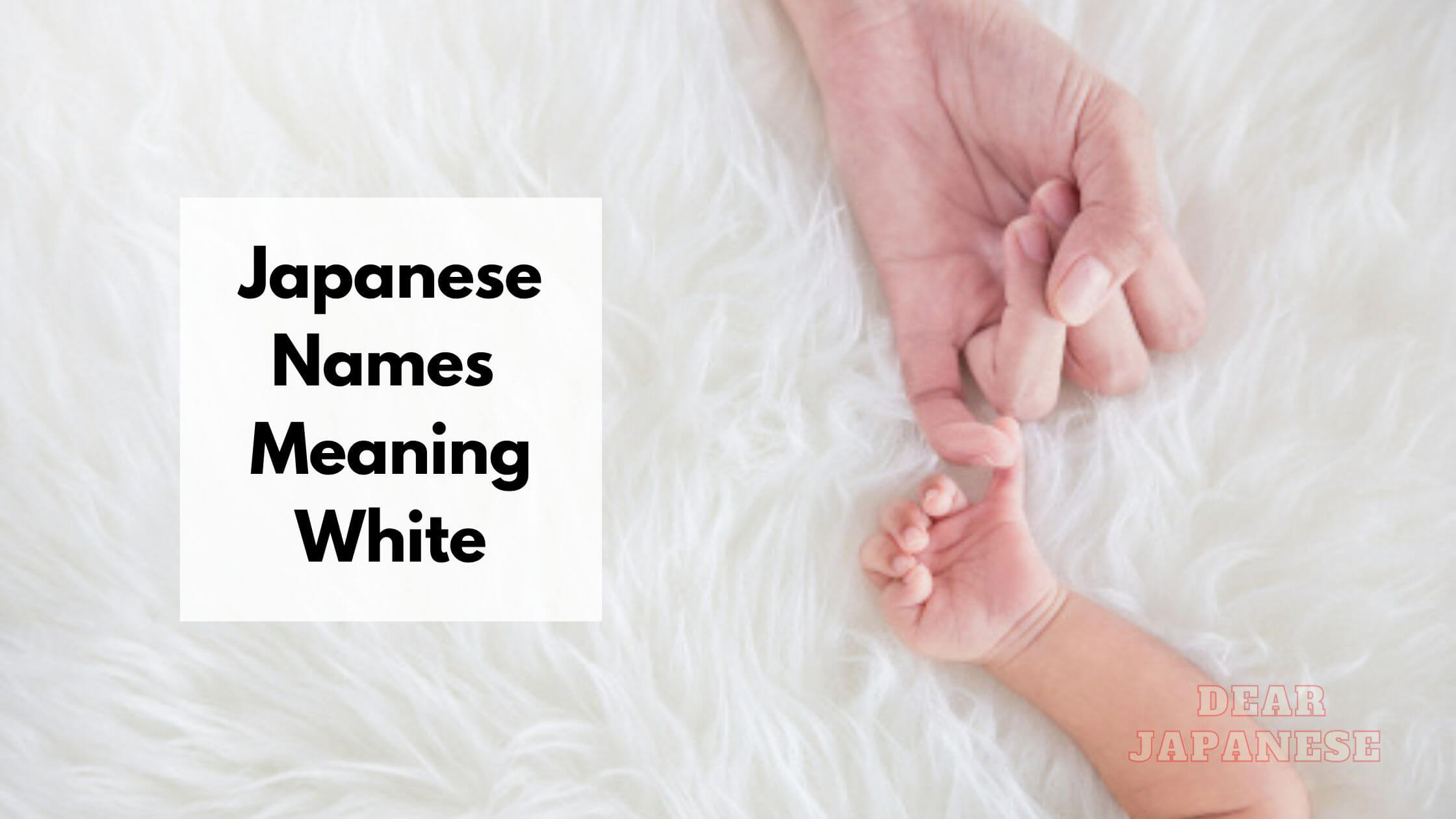 40+ Japanese Names Meaning White – Japan Truly