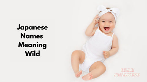 Japanese Boy Names Meaning Wild