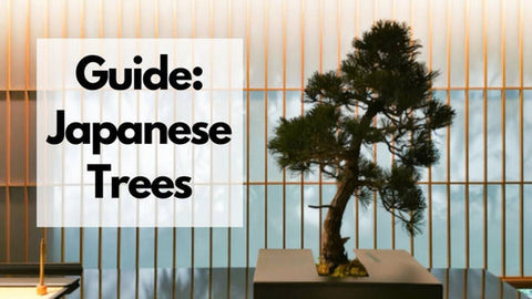 list of japanese trees