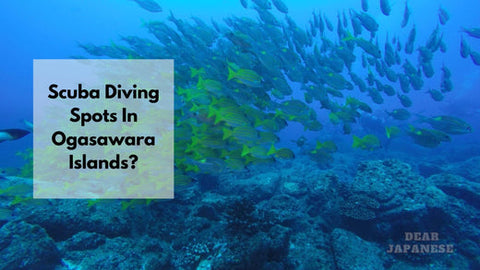 scuba diving in Ogasawara Islands