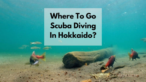 Where To Go Scuba Diving In Hokkaido?
