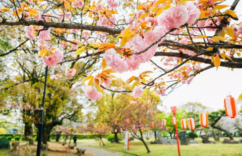24 Amazing Things to Do in Japan In Spring 2024