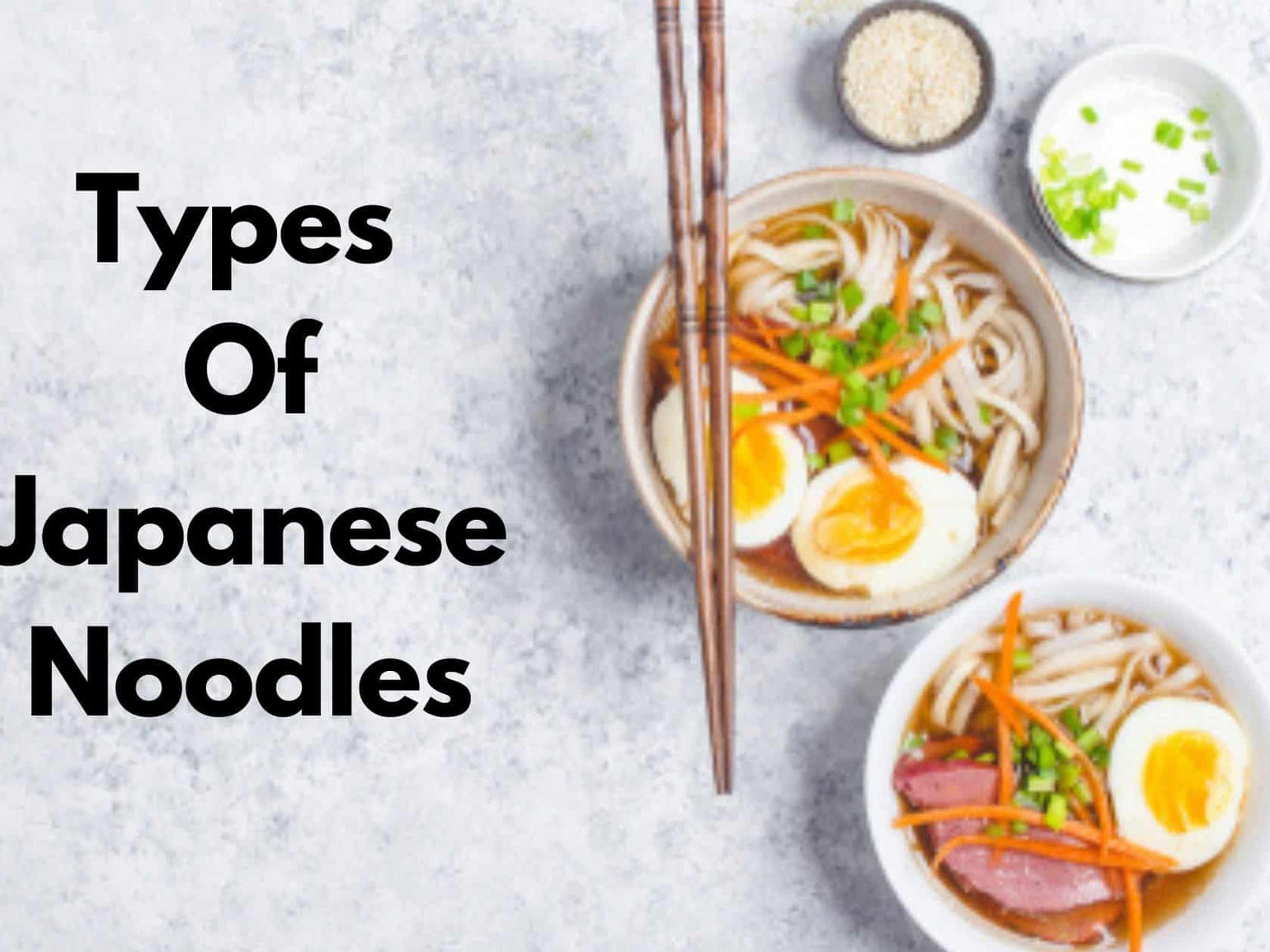 Japanese Product Review by Japan Truly Tagged japanese noodle dishes