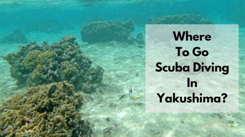 where to go scuba diving iin Yakushima