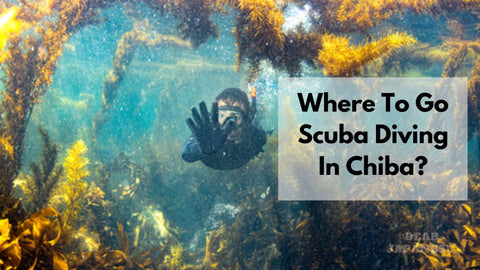 scuba diving in chiba