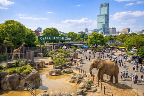 Osaka Zoo Ticket Price USD