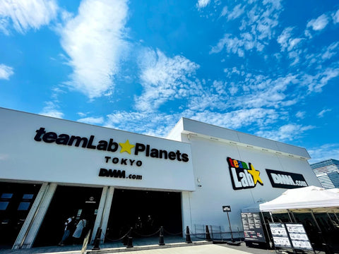 Tokyo TeamLabs Ticket Prices USD