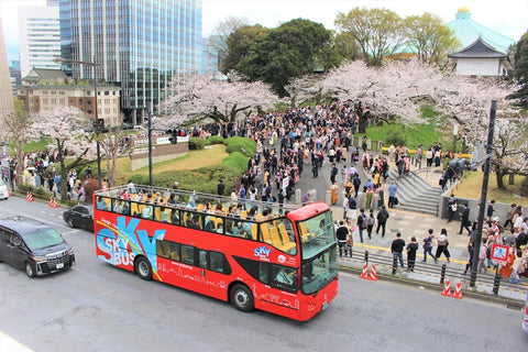Tokyo Skybus Ticket Price USD