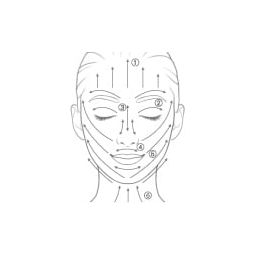 FANCL facial sponge for the face 3D