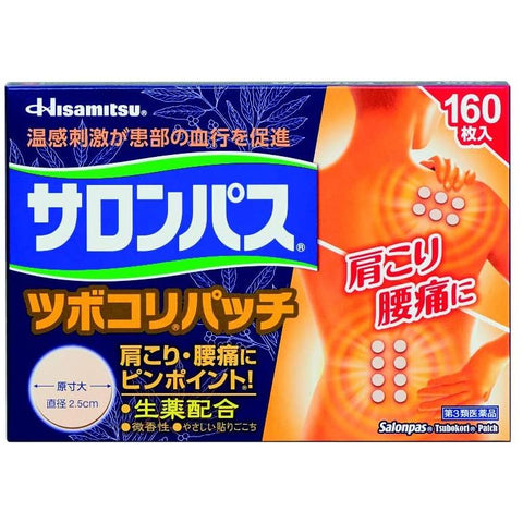 Hisamitsu Pain Relieving Patches for Back Pain, 160 pcs