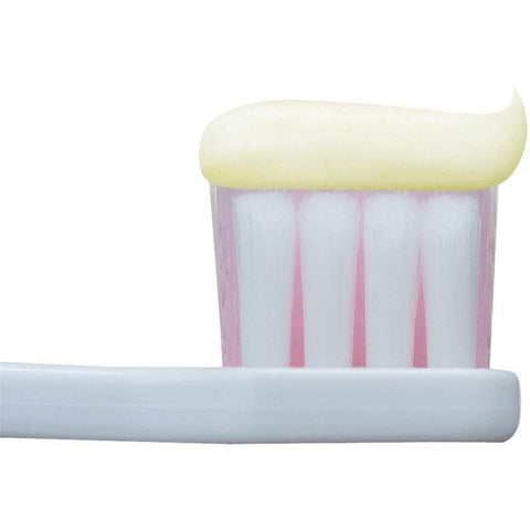 预防牙龈和牙齿疾病的治疗性牙膏“Dent Health SP”，带有薄荷和草药的味道，90克，Lion