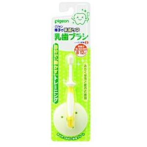 Toothbrush with 8 to 12 months contact Pigeon